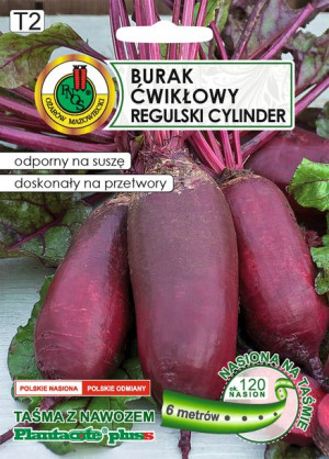 Burak Ćwikłowy Regulski Cylinder 6m Taśma Nasienna Z Hydrożelem Pnos
