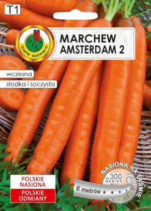 Marchew Jadalna Amsterdam 2 Pnos 6m