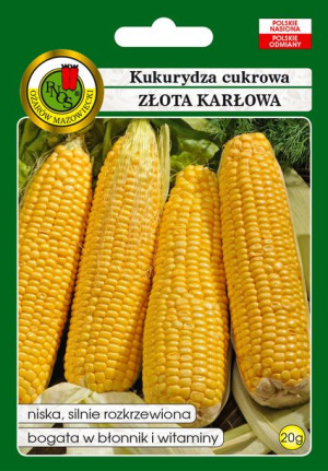 Kukurydza Cukrowa Złota Karłowa Bardzo Wczesna Pnos