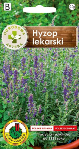 Hyzop Lekarski Wieloletni Pnos