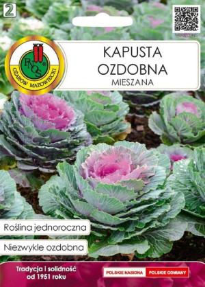 Kapusta Ozdobna Mieszana Bardzo Efektowna Pnos
