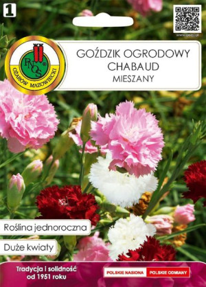 Goździk Ogrodowy Chabaud Mieszany Duże Pachnące Kwiaty Pnos