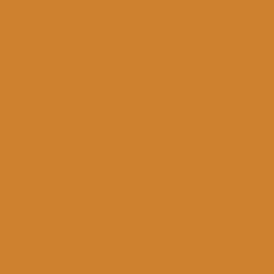 Promarker Winsor&Newton Raw Sienna O646