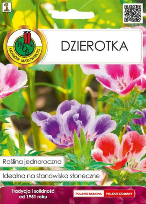 Dzierotka Idealana Na Rabaty Pnos