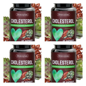 4op Cholesterol metabolizm lipidy SKOCZYLAS