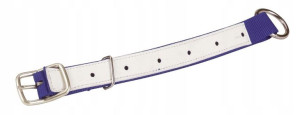Obroża 2,5cmx52cm, czarna