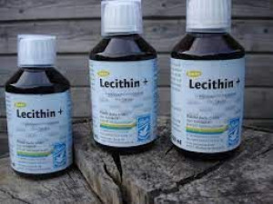 Lecithin + Backs 250 ml  lecytyna