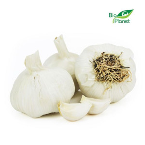 5 kg - OPAKOWANIE ZBIORCZE (kg) - CZOSNEK ŚWIEŻY BIO (około 5 kg)