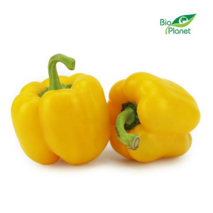 5 Kg - Opakowanie Zbiorcze (kg) - Papryka Żółta Świeża Bio (około 5 Kg)