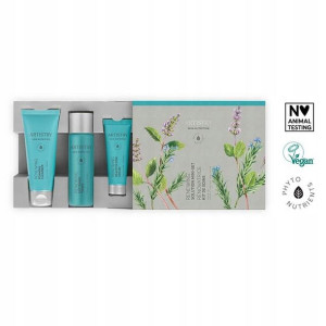Regenerujący mini zestaw Artistry Skin Nutrition