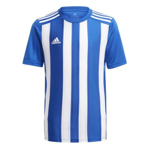 Koszulka dla dzieci adidas striped 21 jersey youth biało-niebieska gh7323