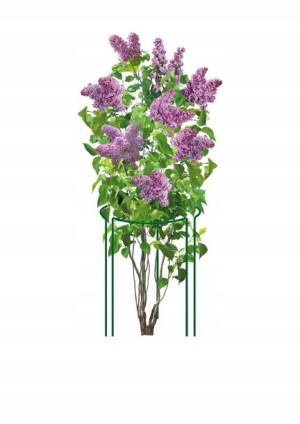 Podpora Kwiatowa M ''60x20'' ELGarden, Stojak Komplet 3szt.