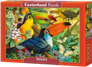 Castor Puzzle 3000 El Ptaki Tukany