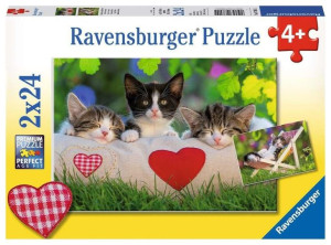 Ravensburger Puzzle 2x24el Śpiące Kocięta