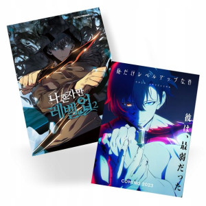 Plakat A3 Solo Leveling manga anime DO WYBORU