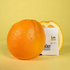 Regulator wilgotności suszu Integra Boost Terpene LIMONEN 4 g