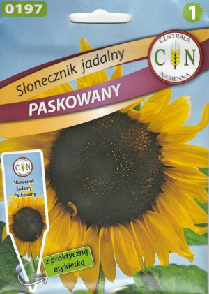 Słonecznik jadalny Paskowany super smaczny oleisty