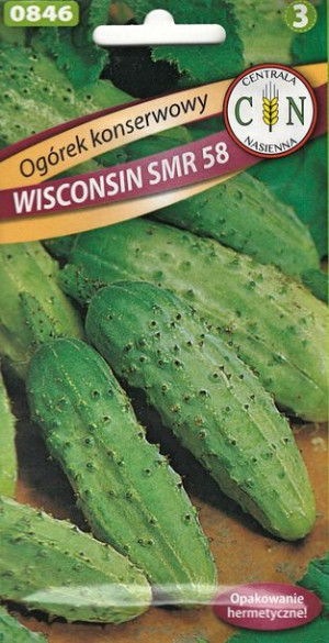 Ogórek Wisconsin SMR 58 wszechstronny  odporny