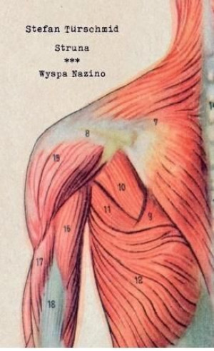 Struna/ Wyspa Nazino Stefan Turschmid