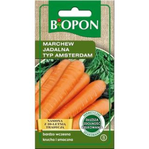 Marchew Jadalna Typ Amsterdam - Nasiona