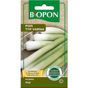 Por - Typ Varna - Nasiona
