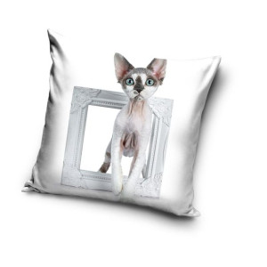 Poszewka na poduszkę 40x40 - Kot Cat 4