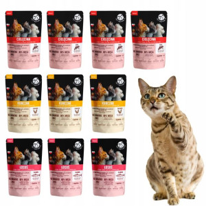 Pet Republic saszetka dla kota mix smaków 10x100g