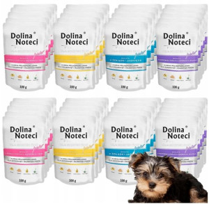 Dolina Noteci Junior Mini Małe Rasy Mix 40x100g