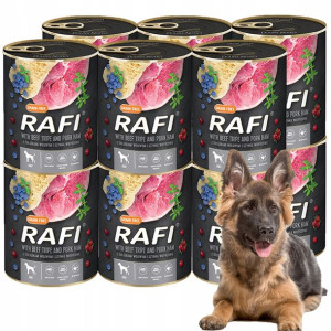 DOLINA NOTECI Rafi Adult ŻOŁĄDKI I SZYNKA 12x 800g