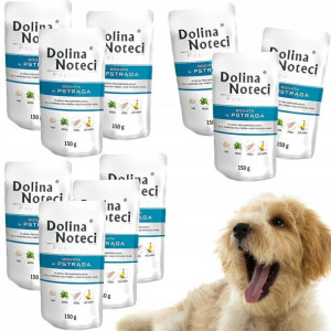 DOLINA NOTECI PREMIUM Saszetka PSTRĄG 10x 150g