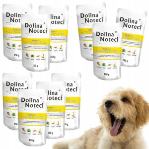 Dolina Noteci Premium Saszetka Kurczak 10x 150 G