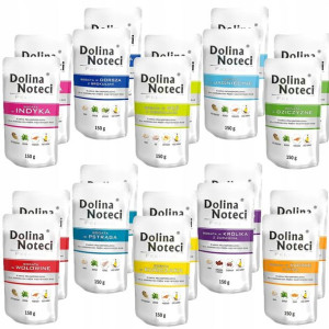 DOLINA NOTECI PREMIUM saszetka MIX SMAKÓW 20x 150g