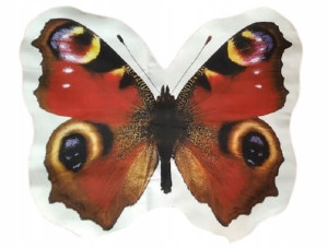 Poduszka Kształtka Motyl Rusałka Pawik