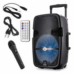 Głośnik z mikrofonem 38cm 100W RADIO BT USB SD AUX