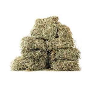 Świeże Siano około 5kg dla królików, gryzoni