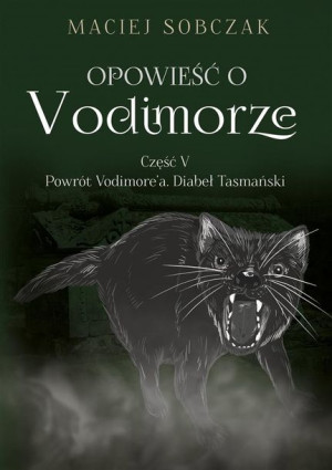 Opowieść o Vodimorze cz.5 Powrót Vodimore'a Maciej Sobczak