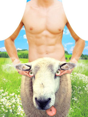 Sexi Fartuszek Fartuch Kuchenny Owca F03