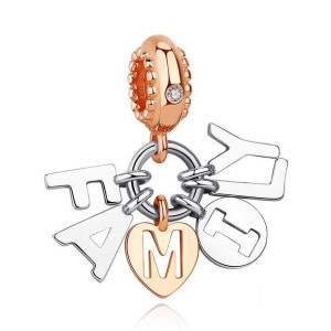 Charms do Pandora - FAMILY