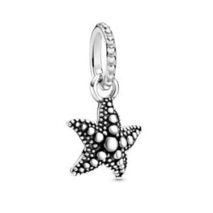 Charms do Pandora - SREBRNA ROZGWIAZDKA