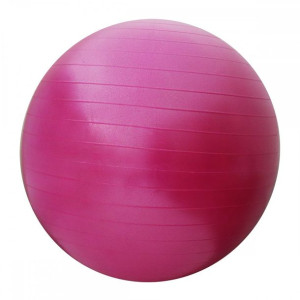 Piłka Gimnastyczna 55 Cm Sv-hk0287 Z Pompką