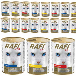 DOLINA NOTECI RAFI CAT dla KOTA 24x415g mix smaków
