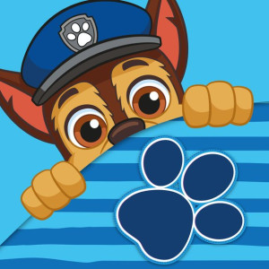 Psi Patrol Ręcznik Magiczny Ręczniczek do rąk 30x30