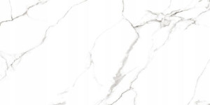 109.9złm2 Płytki Mckinley Polished Carving 60x120