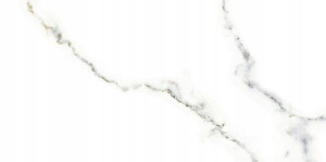99.9m2 Płytki Gres Carrara Polished 60x120 Gat I