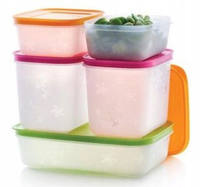 Tupperware Polarnik Zestaw Do Mrożenia 5 Elemenów