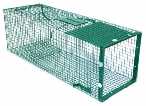 Pułapka żywochwytna na lisy 90cm na wydry, borsuki DUŻA