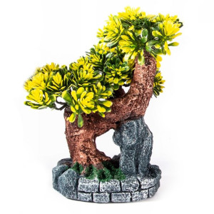 Drzewo Bonsai W Doniczce Roślina Różne Kolory