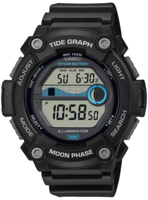 Zegarek męski Casio WS-1300H-1AVEF