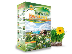 Trawnik KWIATOWY 0,5kg - efekt łąki kwiatowej