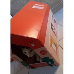 Drapak domek kartonowy dla kota